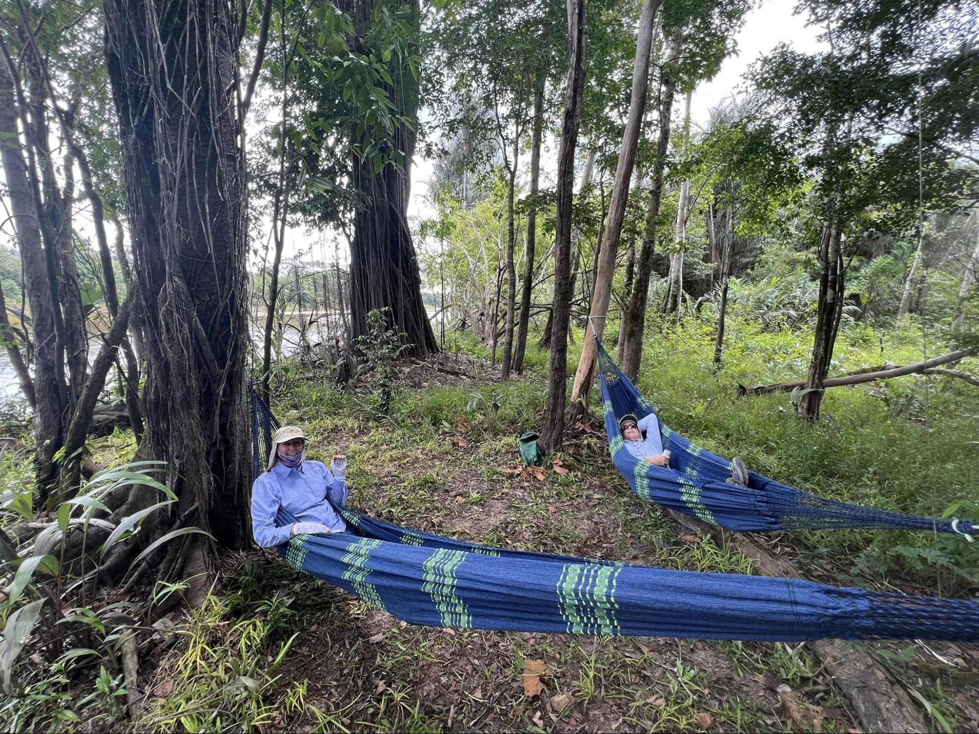 Hammocks in the Amazon