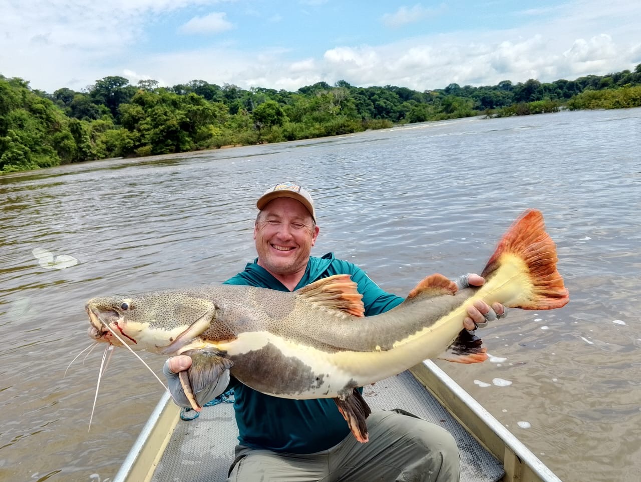 Redtail Catfish