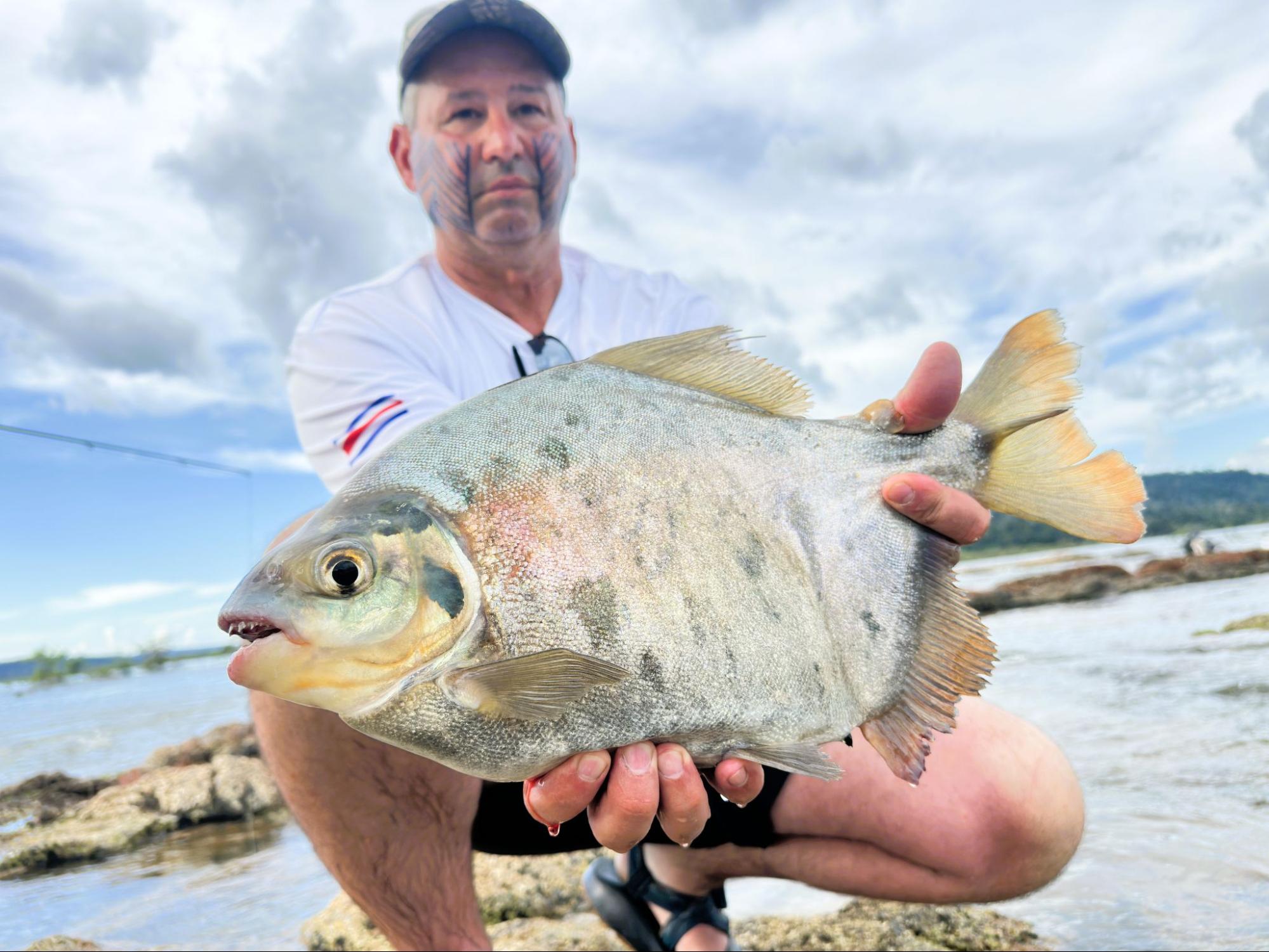 tambaqui