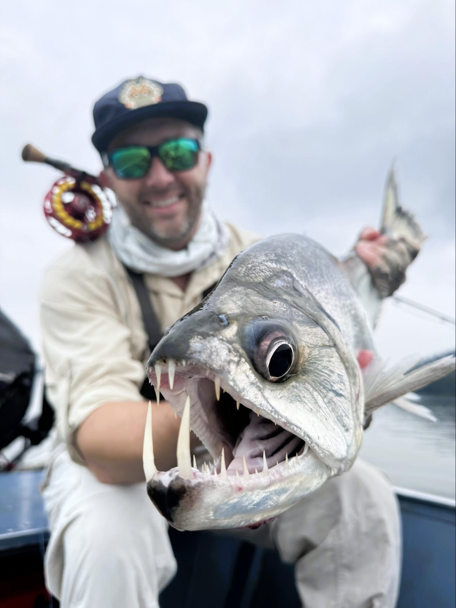 Payara
