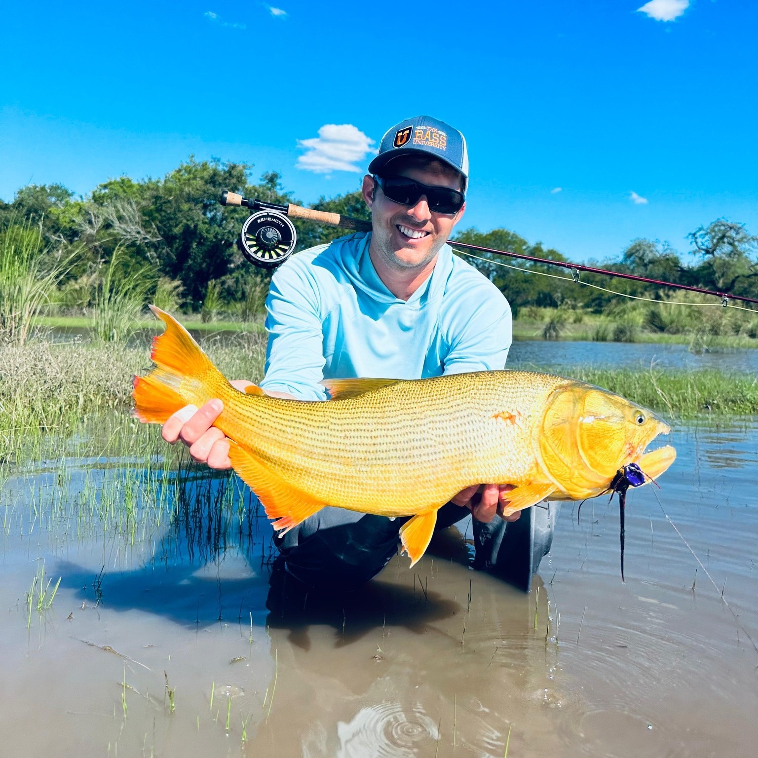 Golden Dorado fishing