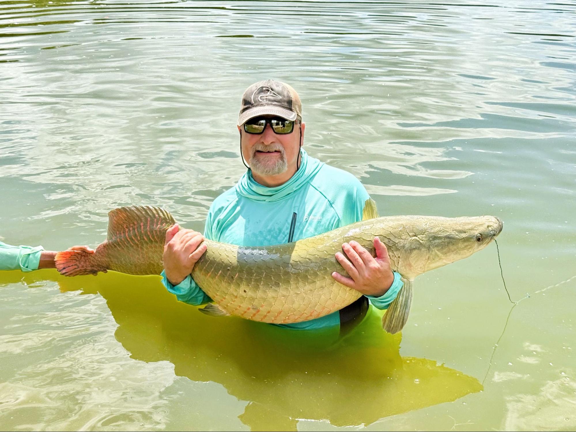 Arapaima Fish