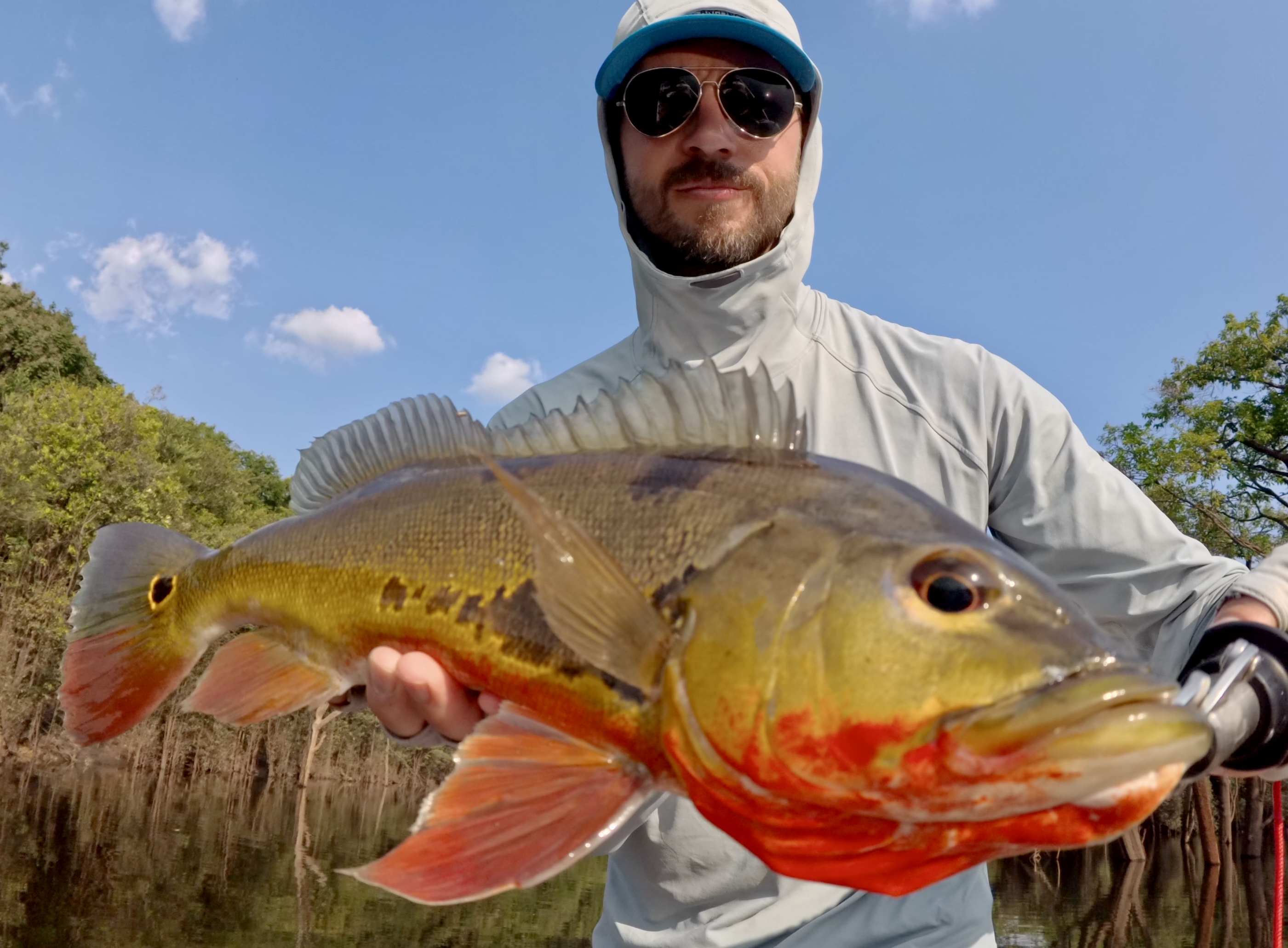 Peacock Bass Fishing
