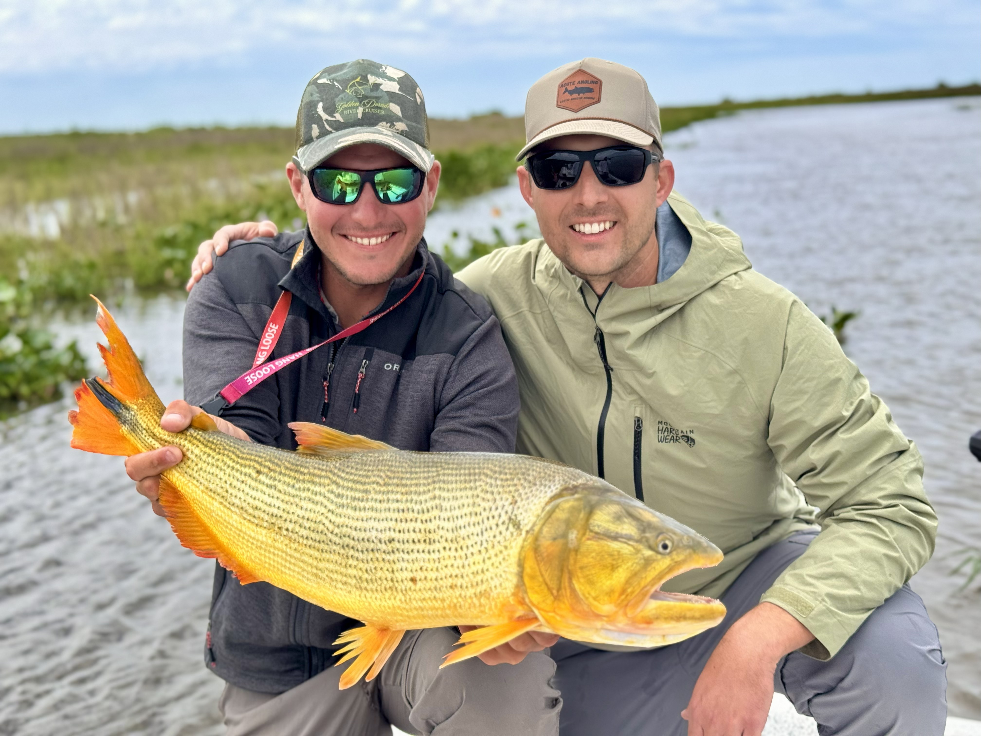 Golden Dorado Fishing