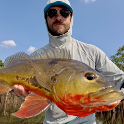 Peacock Bass Fishing