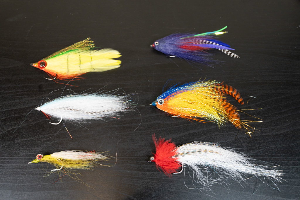 Overview of Fly Fishing Gear for the Amazon