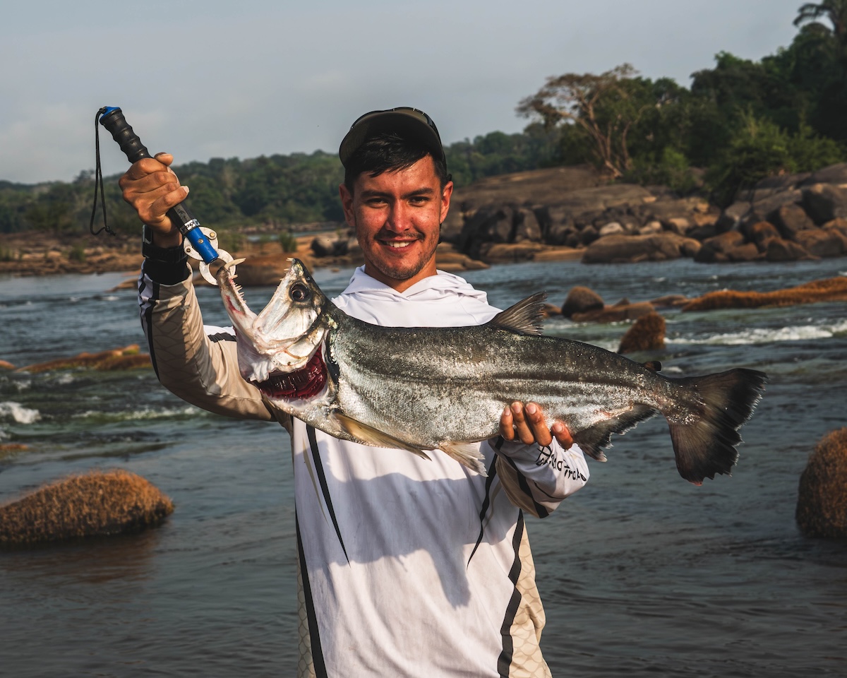 payara