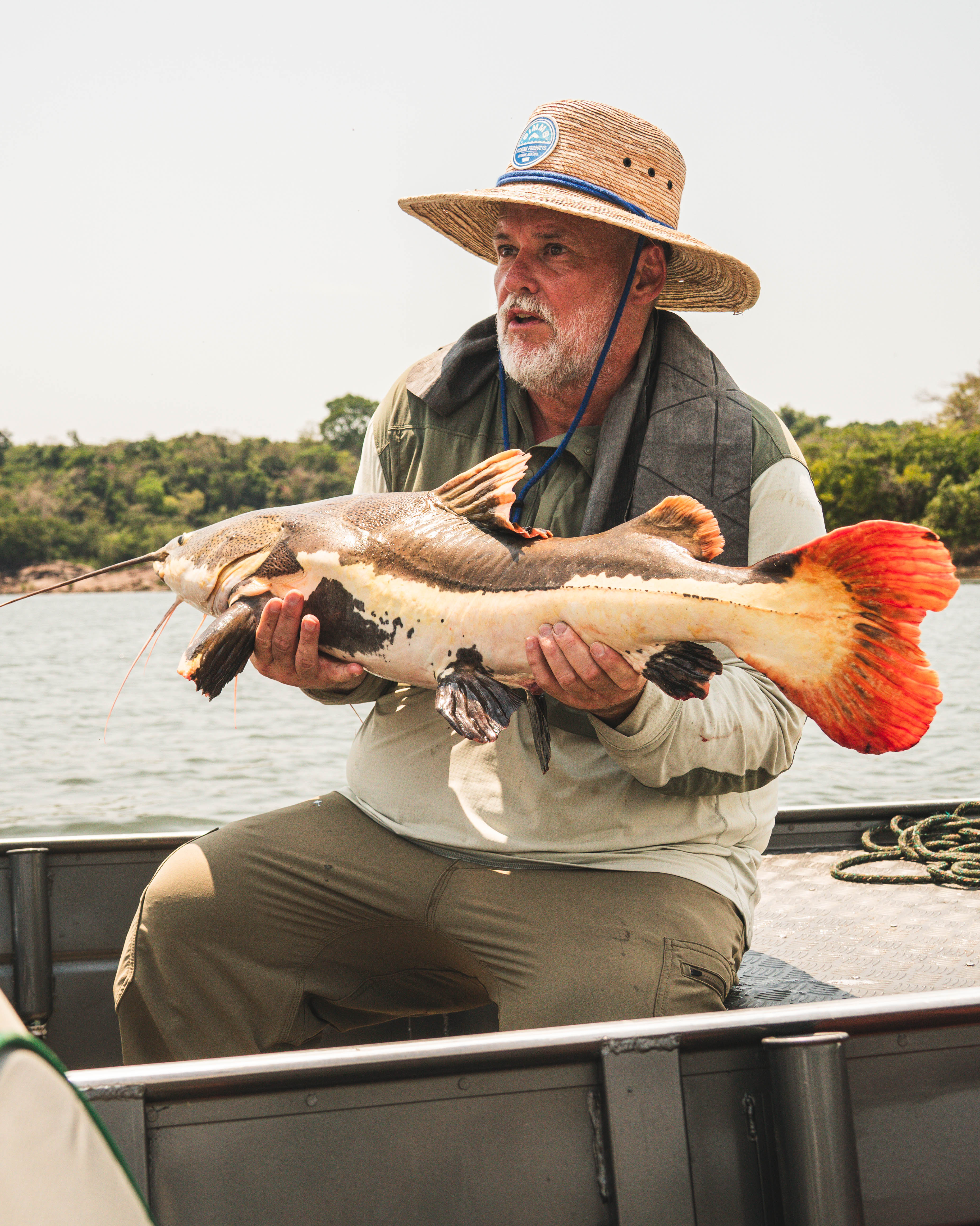 redtail catfish fishing
