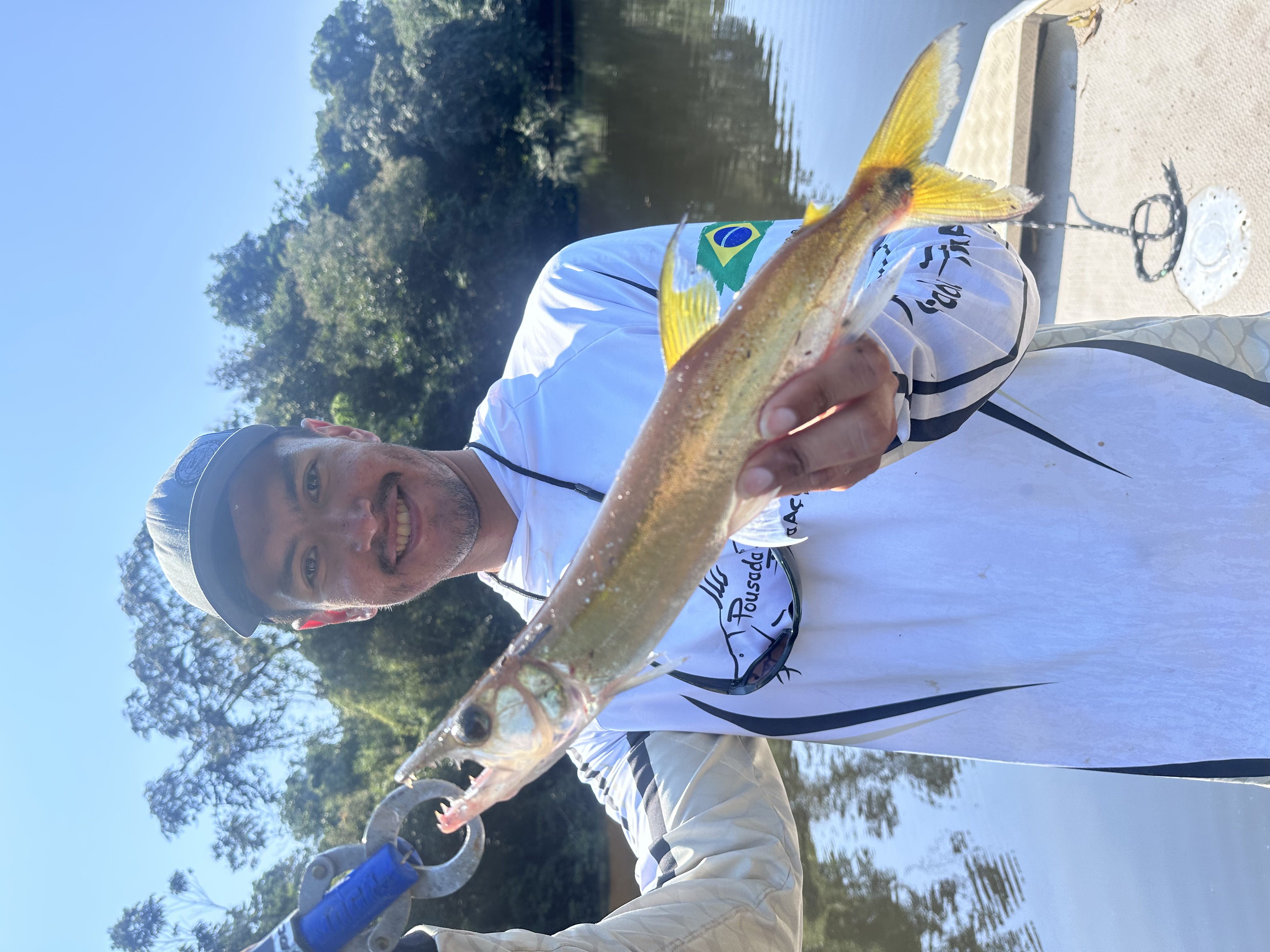 dogfish
