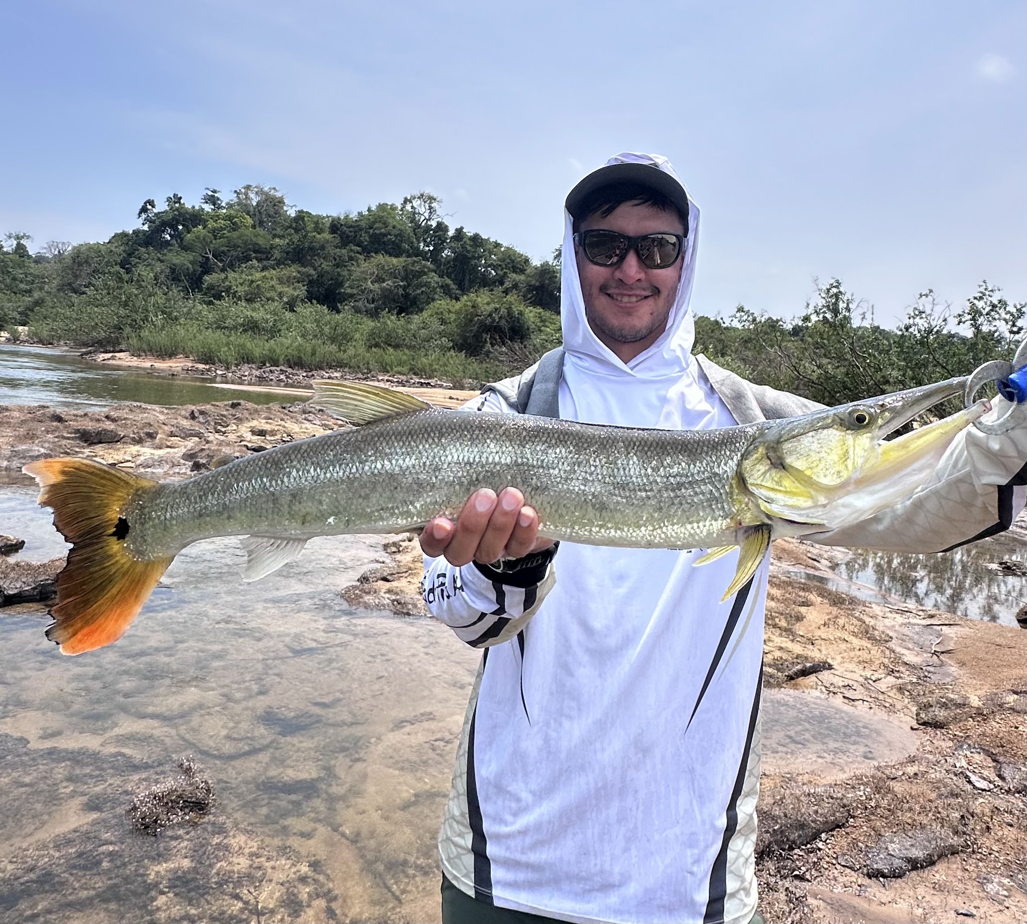 bicuda fish