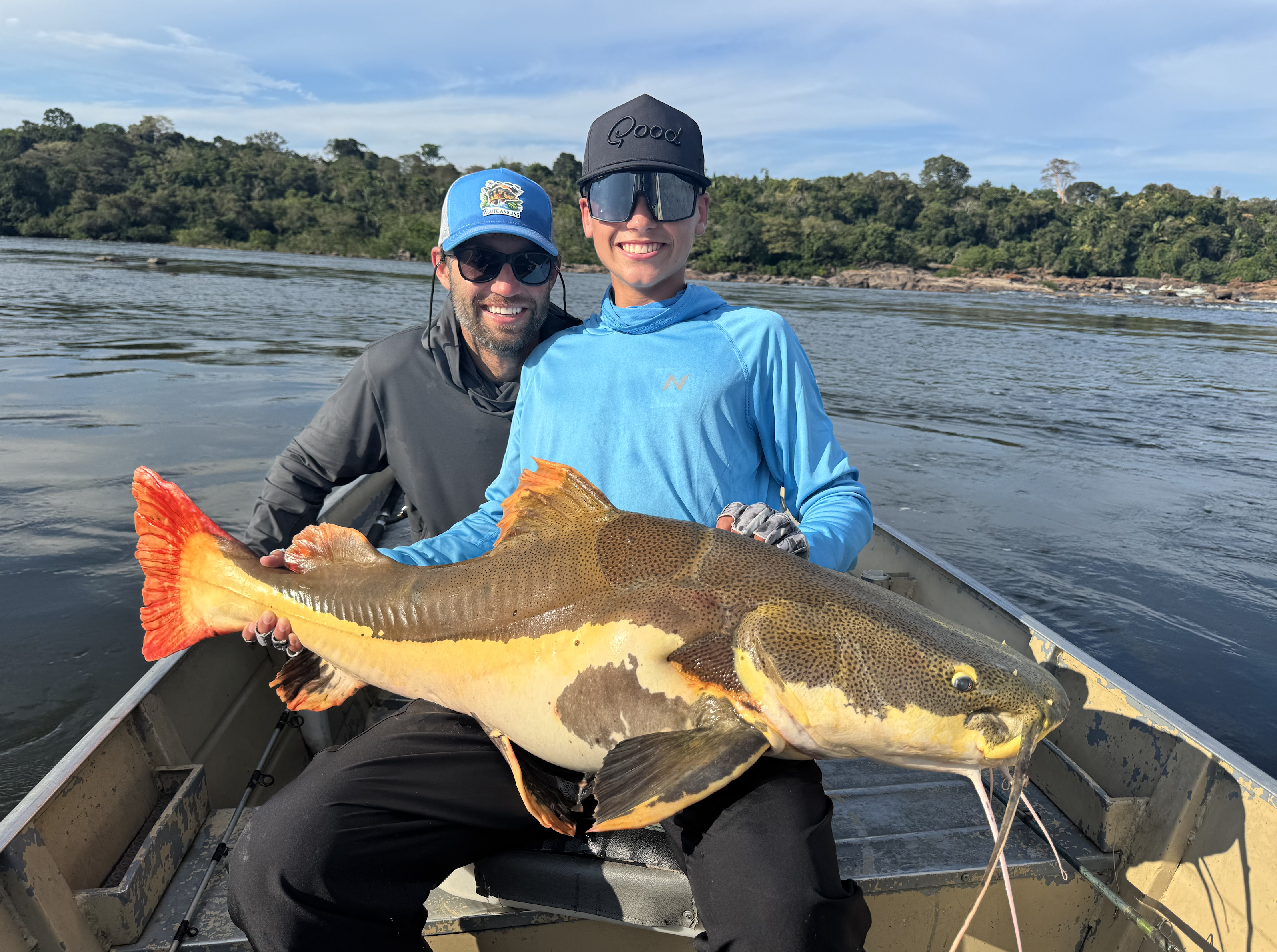 redtail catfish