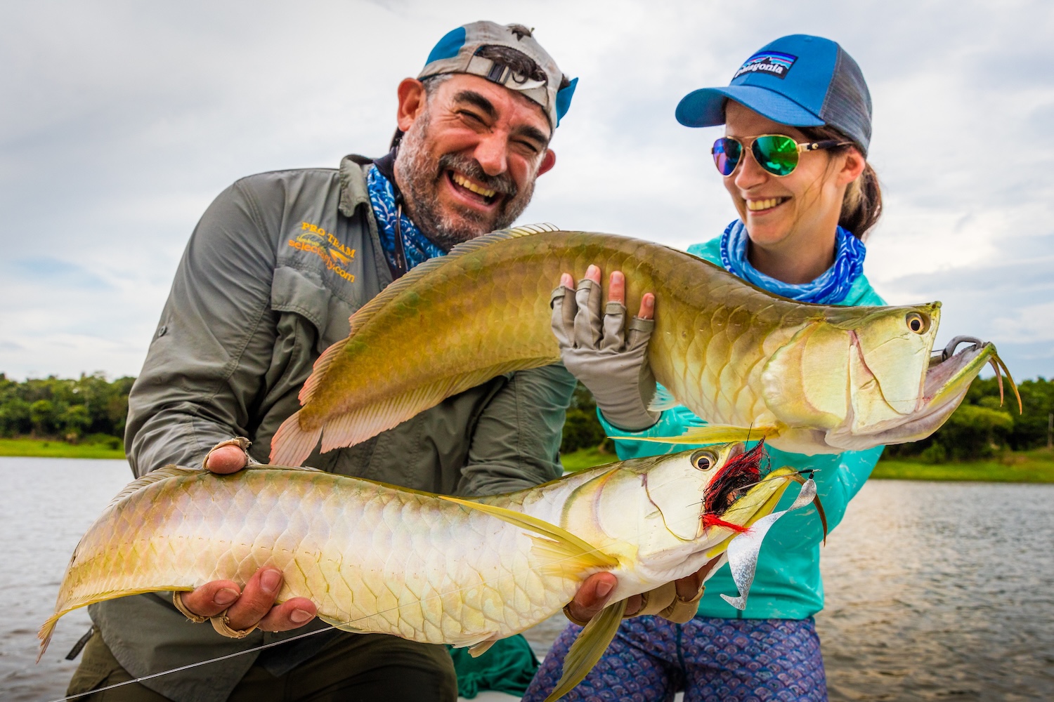 arowana fishing in the amazon