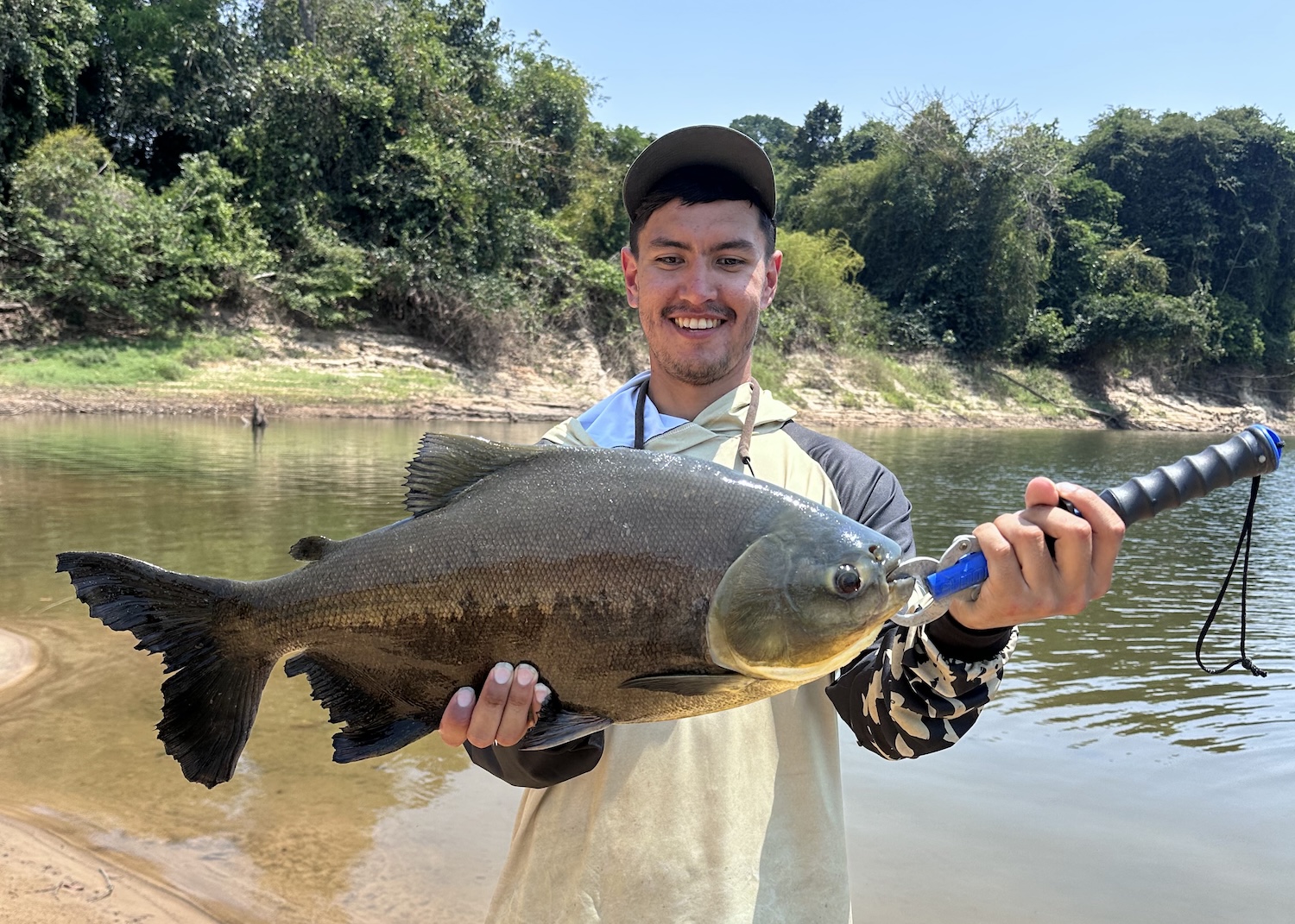 Pirapitinga fishing in the amazon