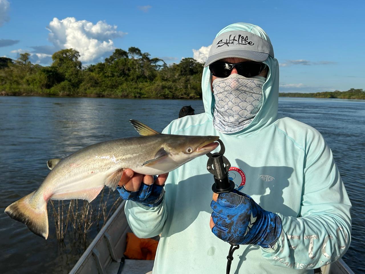 Mandubé fishing in the amazon