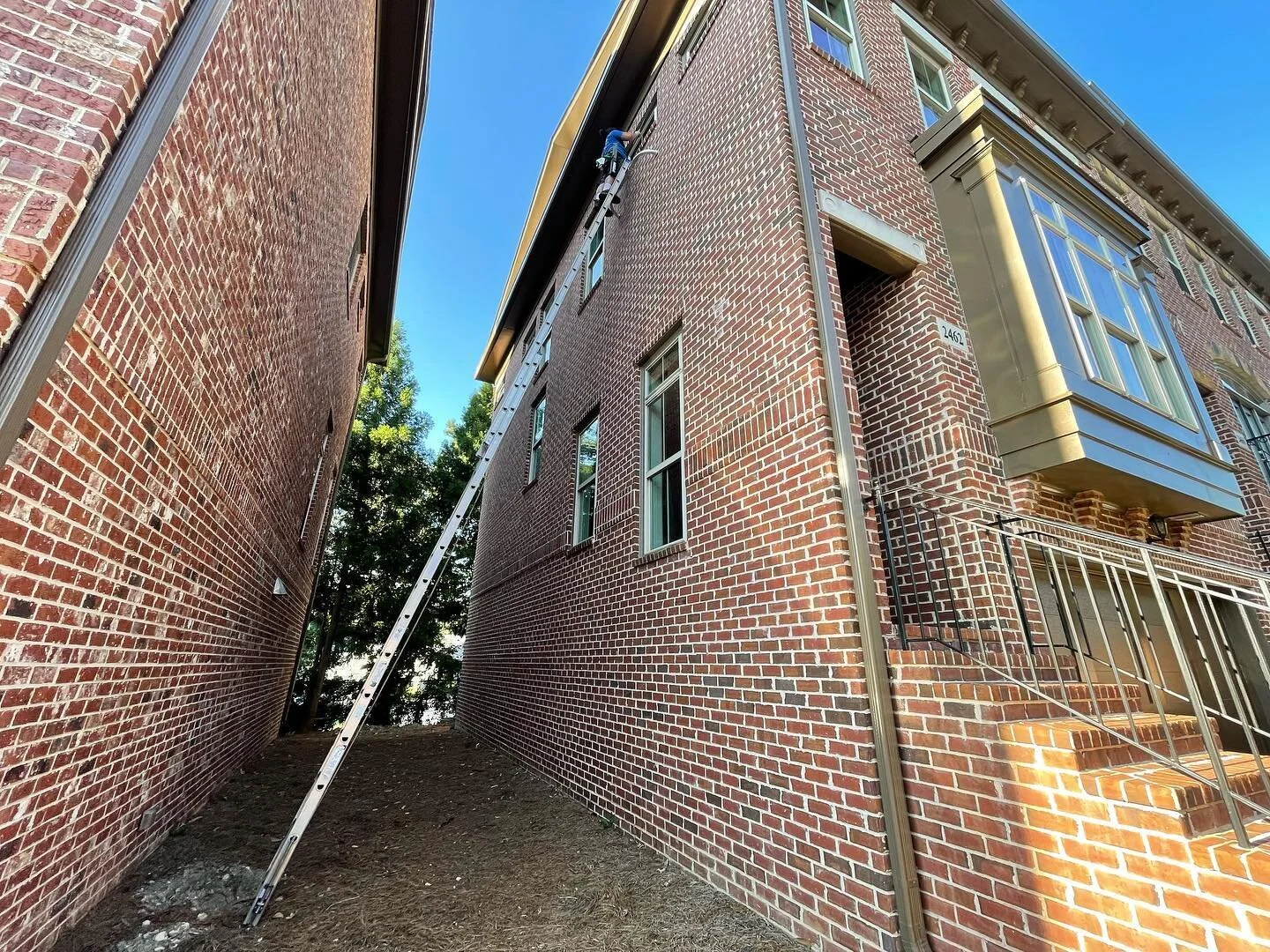 Window cleaning gallery photo 8