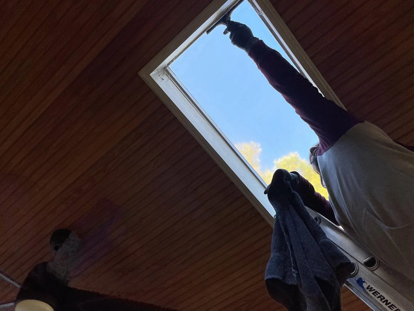Window cleaning gallery photo 4