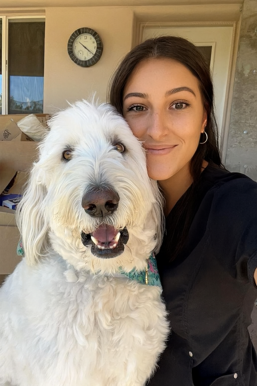 Professional Cleaning Services in New York City