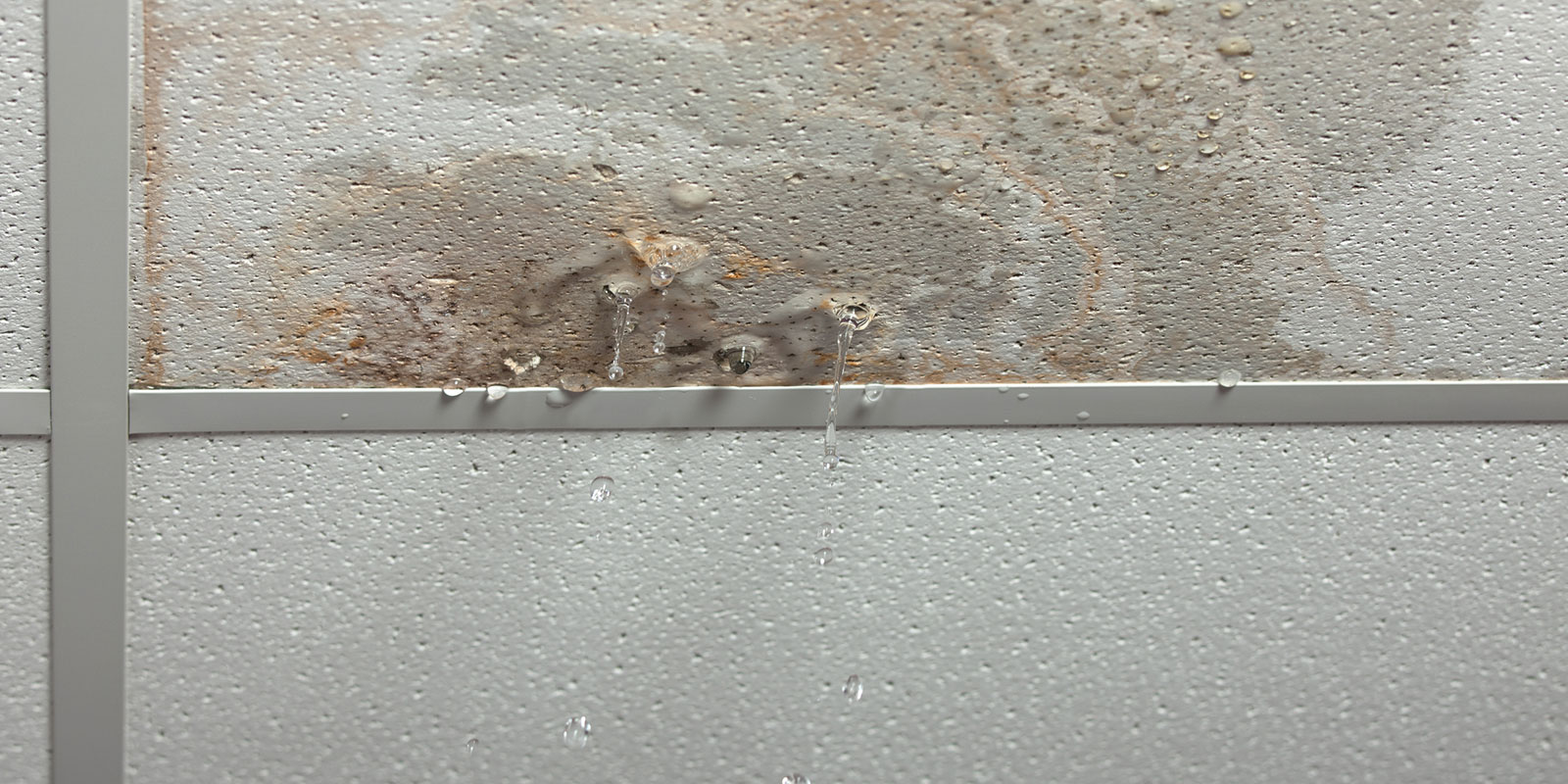 Technician performing emergency leak stop to protect ceiling from water