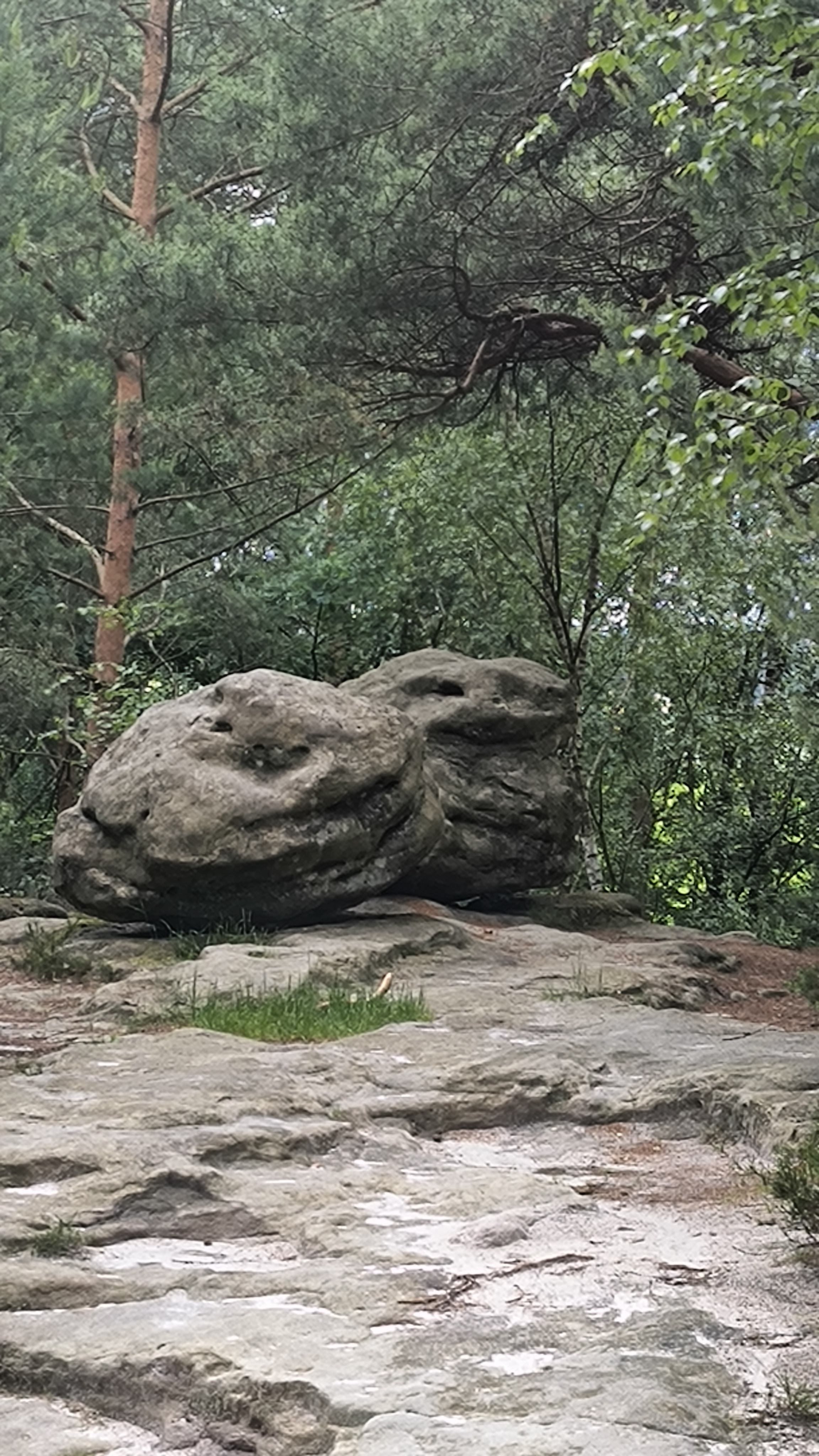 Zwei große lachende Steine