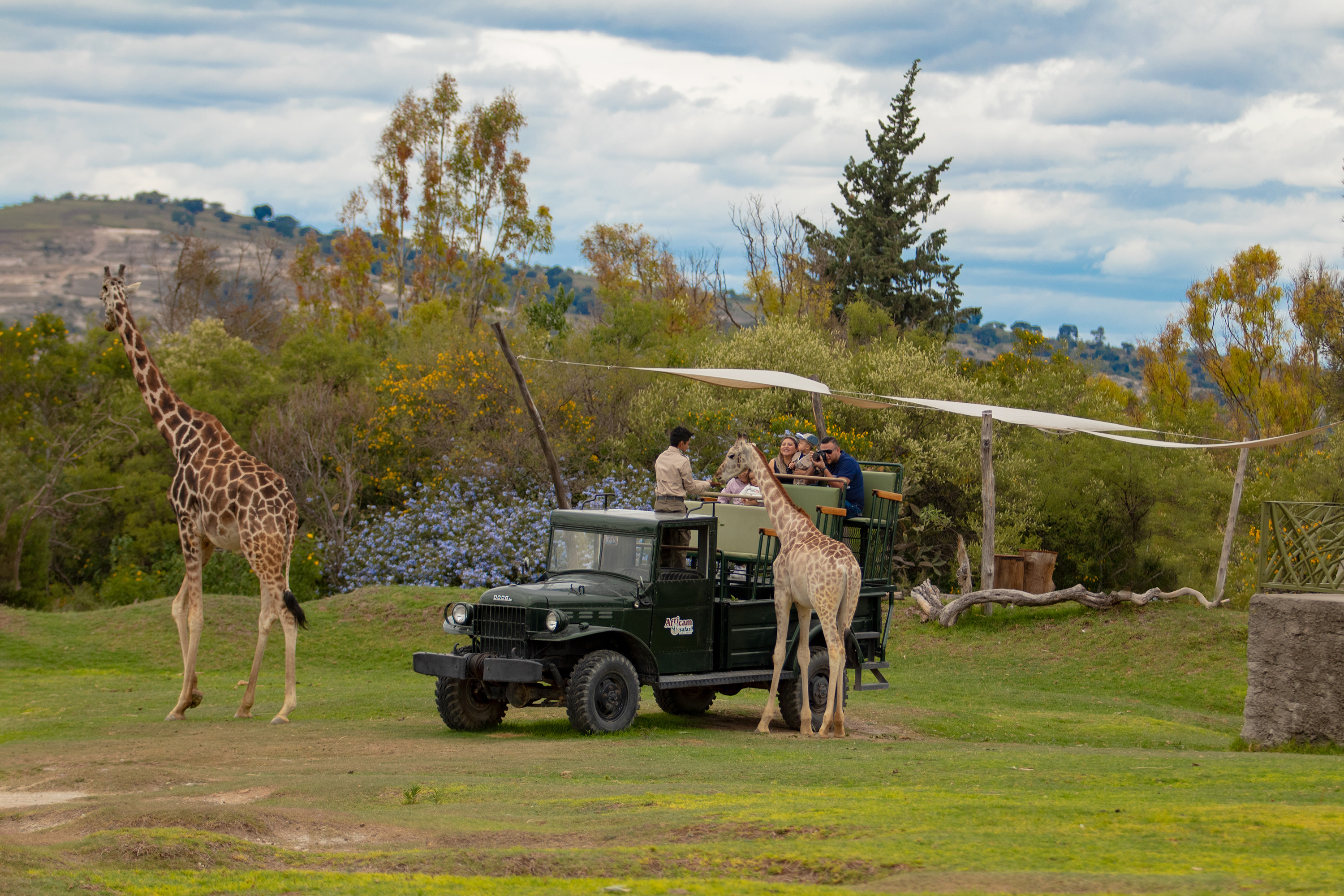 Africam Safari Puebla