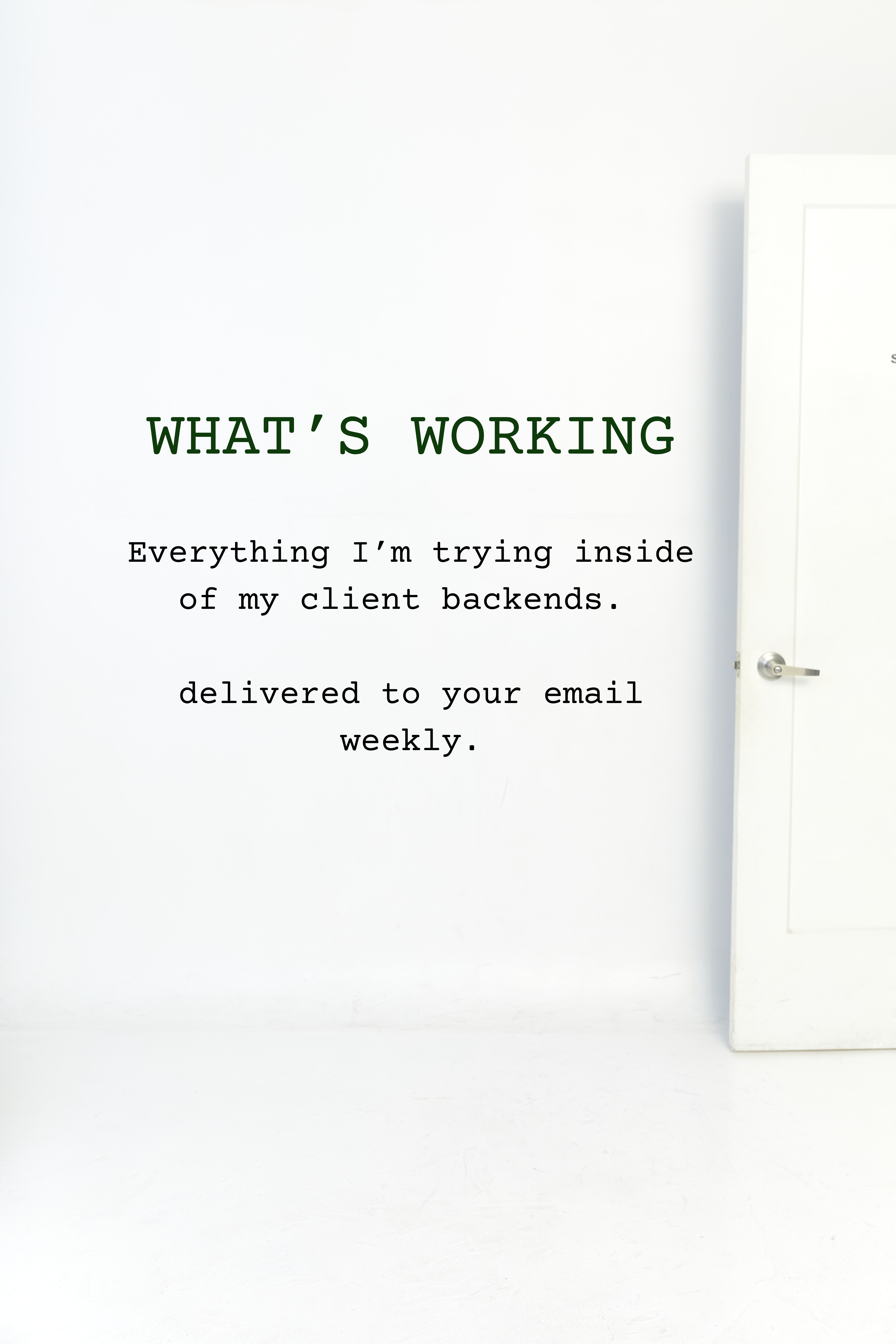 What's Working Now newsletter preview