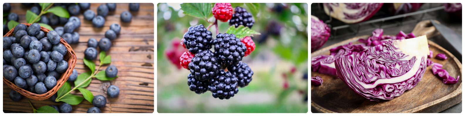 A mix of blue and purple fruits and vegetables A mix of blue and purple fruits and vegetables