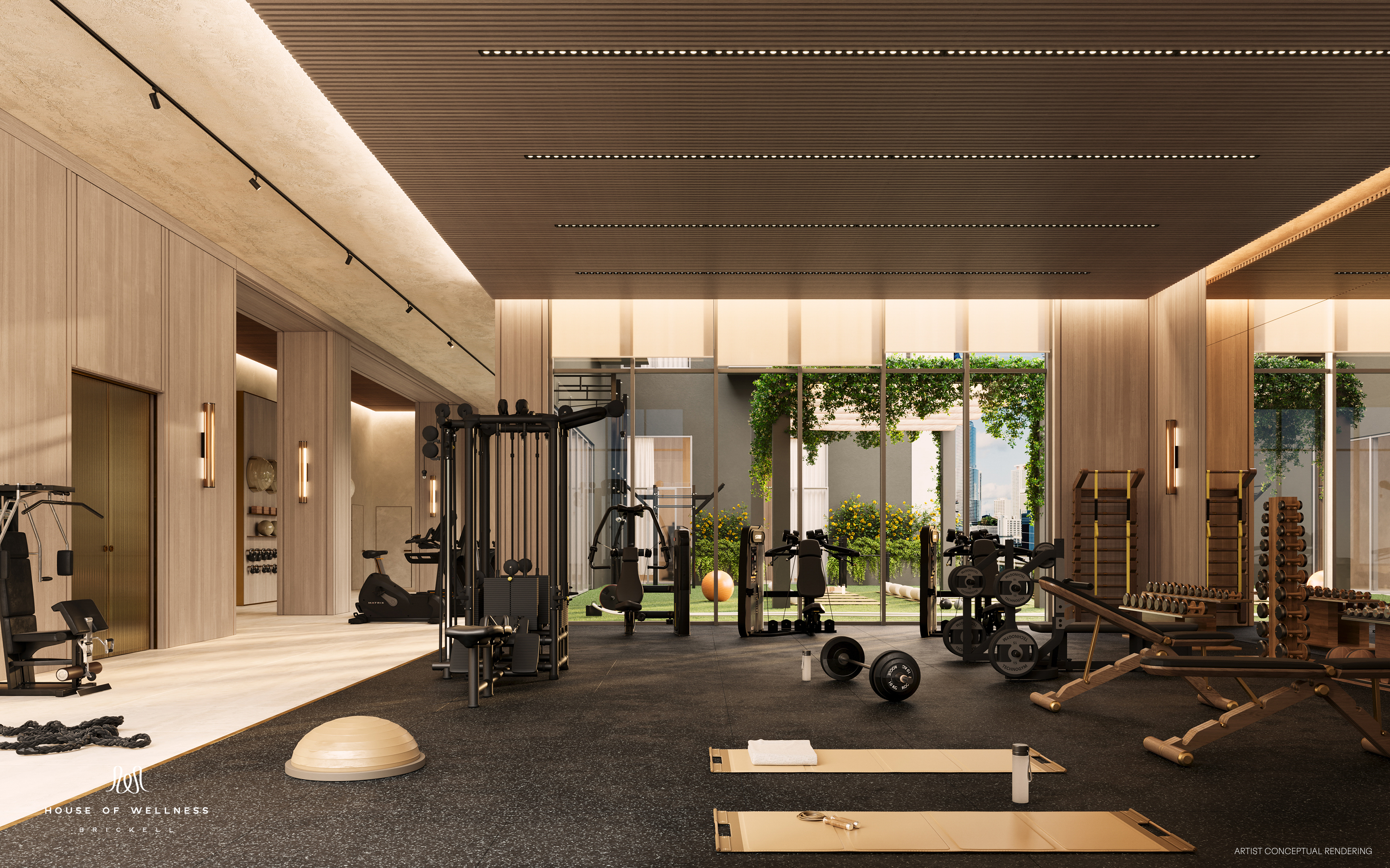 Representación conceptual del gimnasio