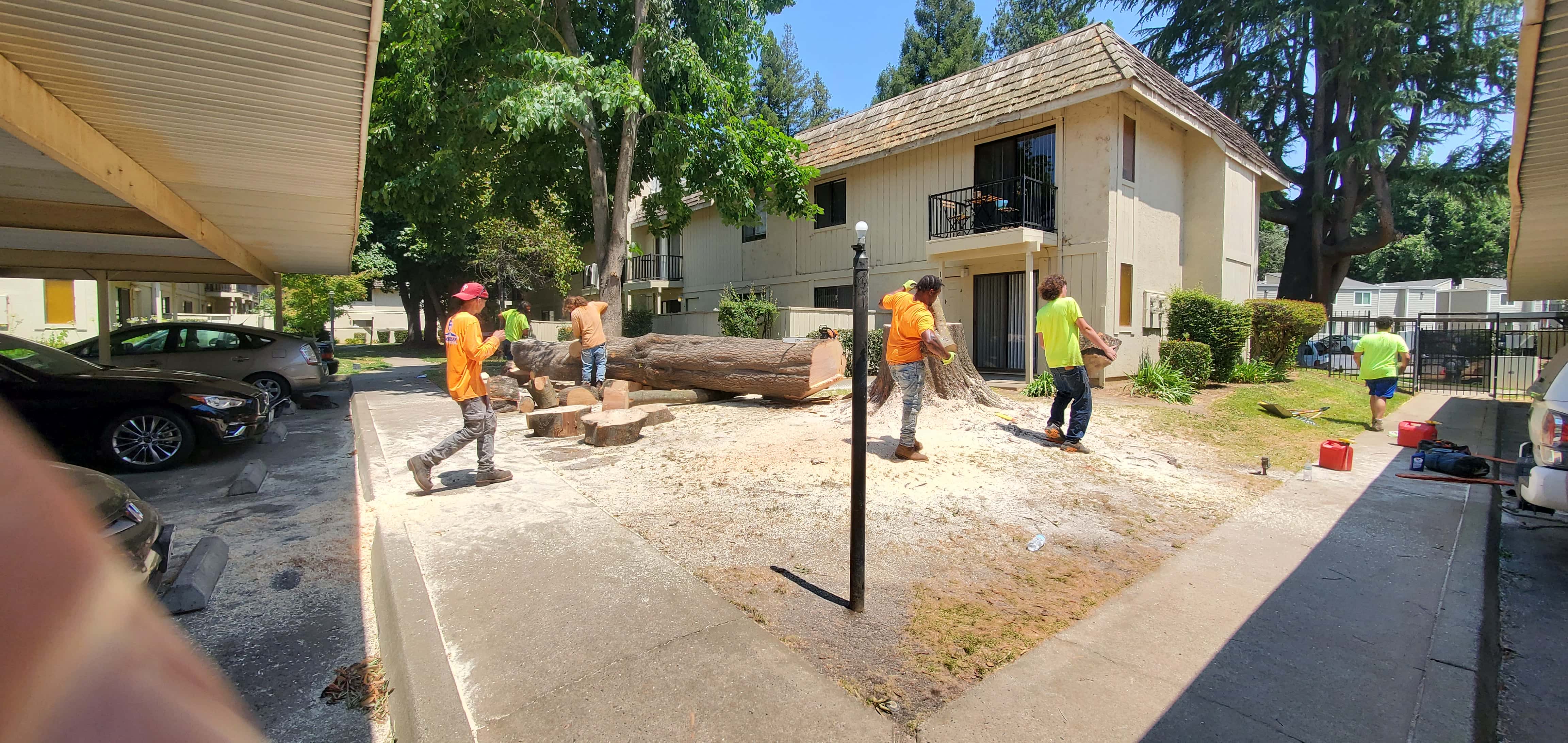 Stump grinding cleanup leaving a flat, usable yard in the Sacramento Valley