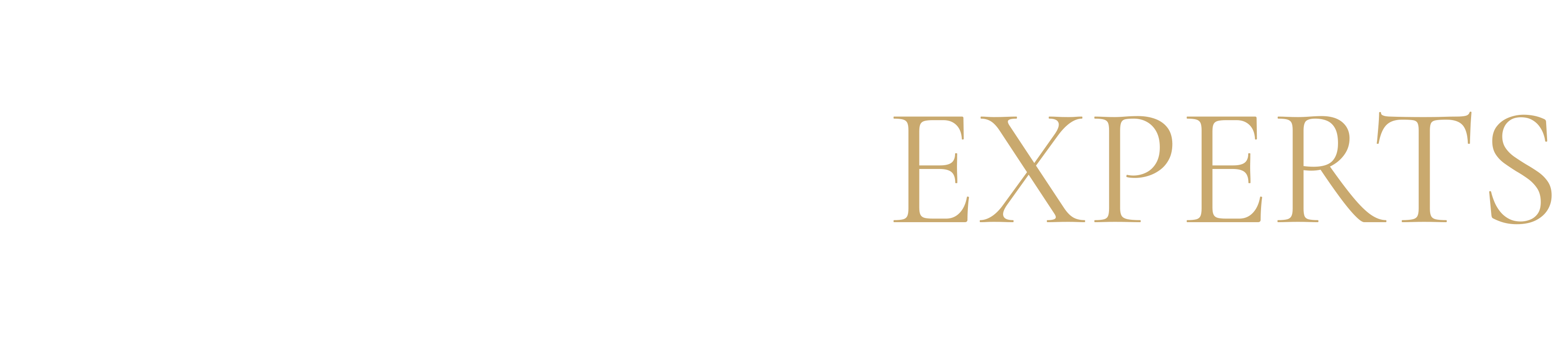 Wedding Experts
