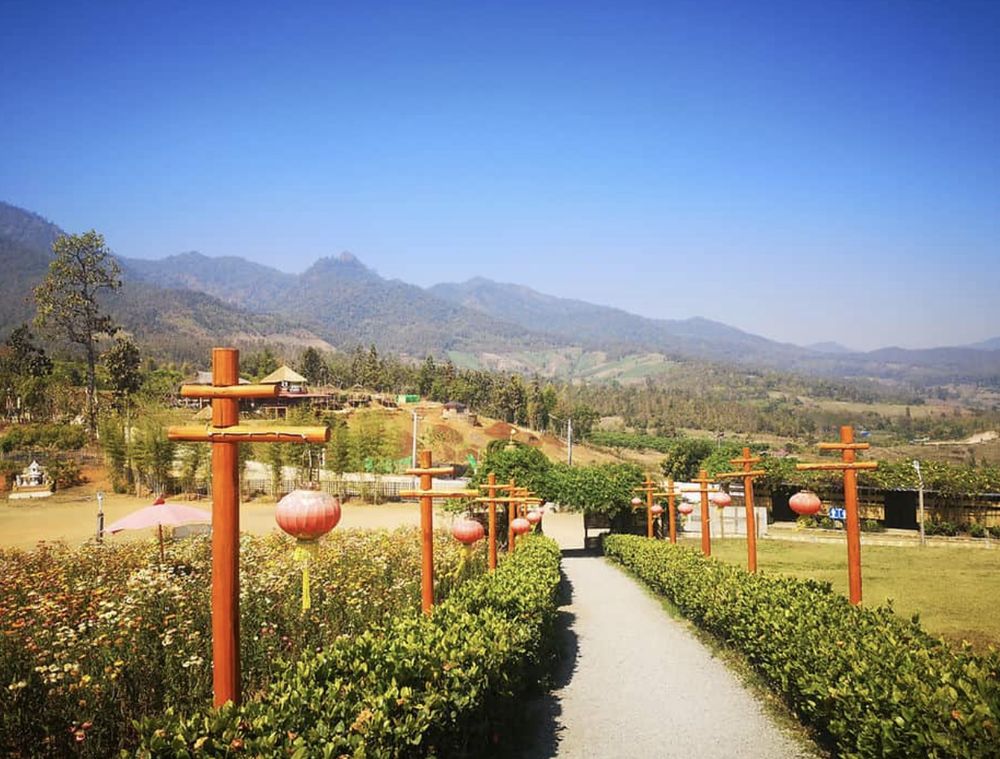 A path lined with red lanterns and flowers facing the mountains