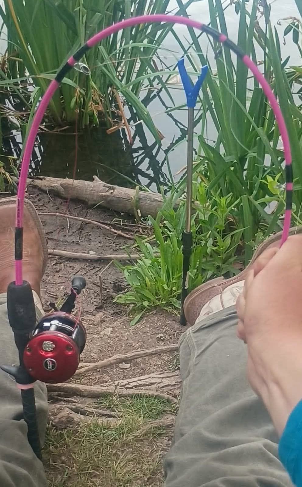 A pink Compensator rod bent into a deep curve during a flex demonstration