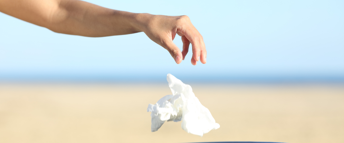 trash and organic waste bins for sustainable waste management. trash and organic waste bins for sustainable waste management.