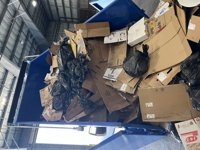 Junk Removal