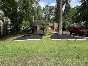 Tree Service in Savannah