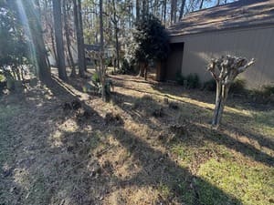 {{ custom_values.service_3 }} in {{custom_values.area_3})