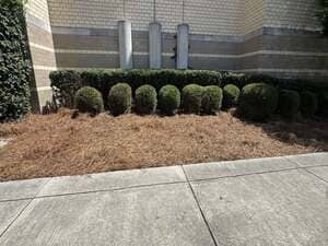 {{ custom_values.service_3 }} in {{custom_values.area_3})