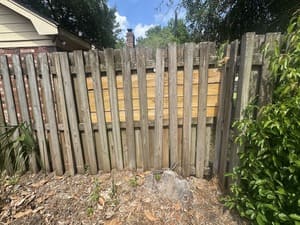 Tree Service in Tybee Island