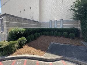 {{ custom_values.service_1 }} in {{custom_values.area_5})