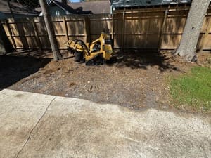 {{ custom_values.service_4 }} in {{custom_values.area_2})