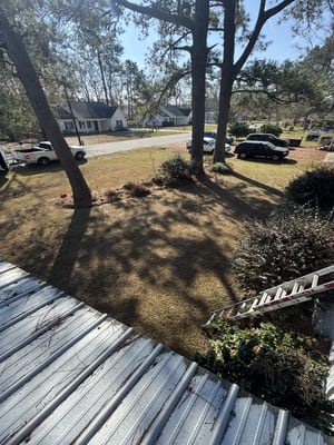 {{ custom_values.service_3 }} in {{custom_values.area_3})