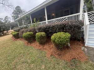 {{ custom_values.service_3 }} in {{custom_values.area_3})