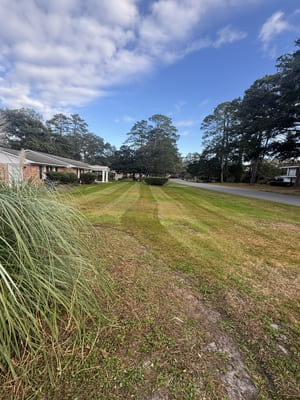 {{ custom_values.service_3 }} in {{custom_values.area_3})