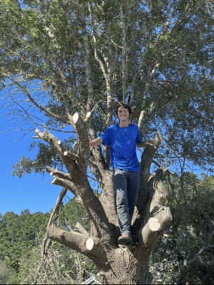 {{ custom_values.service_3 }} in {{custom_values.area_3})