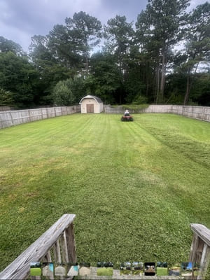 {{ custom_values.service_3 }} in {{custom_values.area_3})