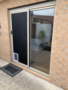 Security Door 1