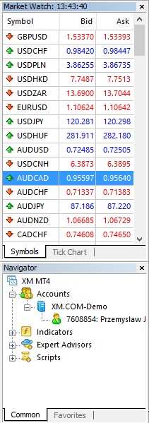 Market Watch window showing currency pairs