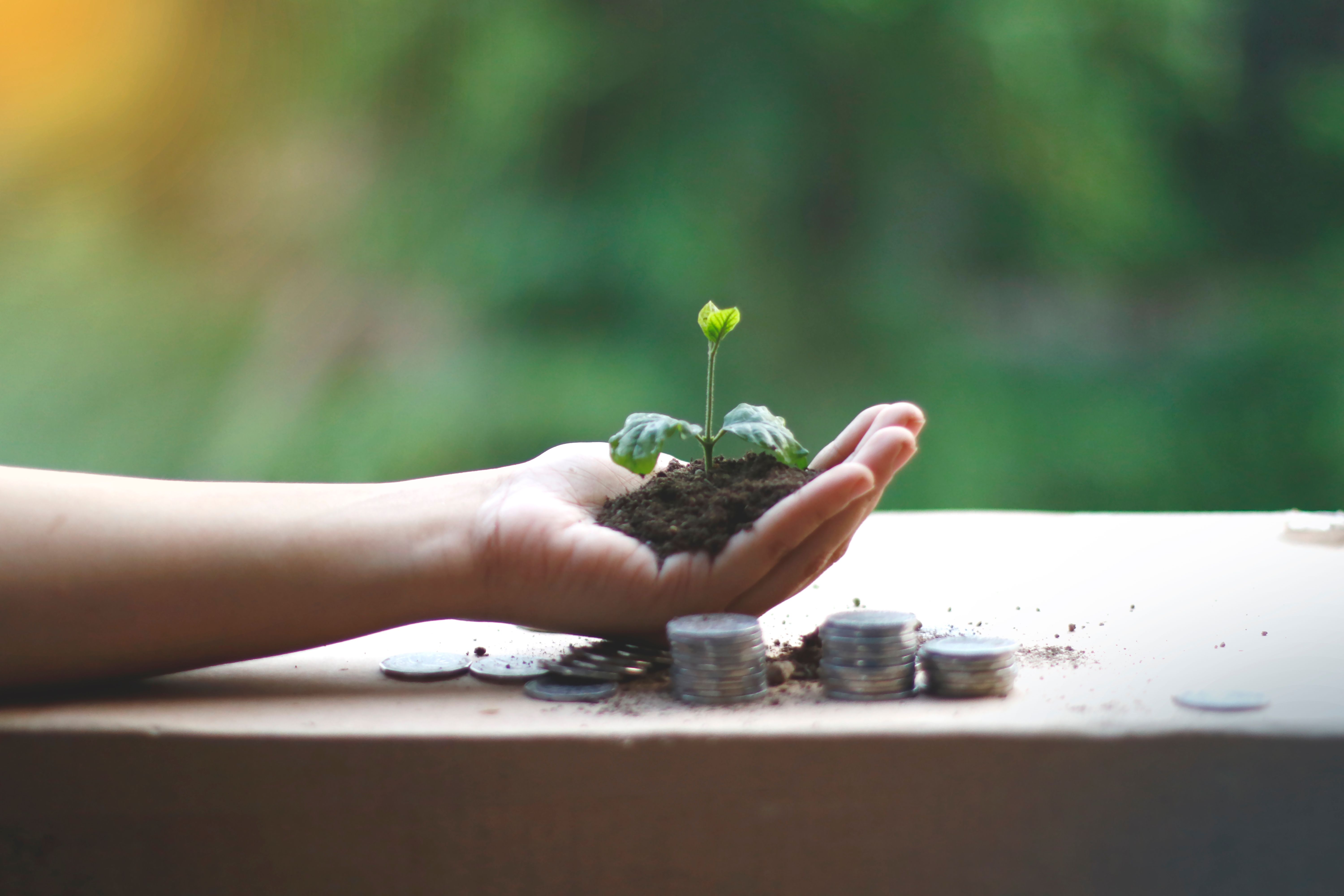 ESG & Environment