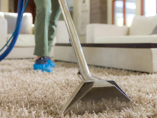 A close-up of a carpet cleaning tool on a light shag rug, with a person's feet in blue covers in the background.