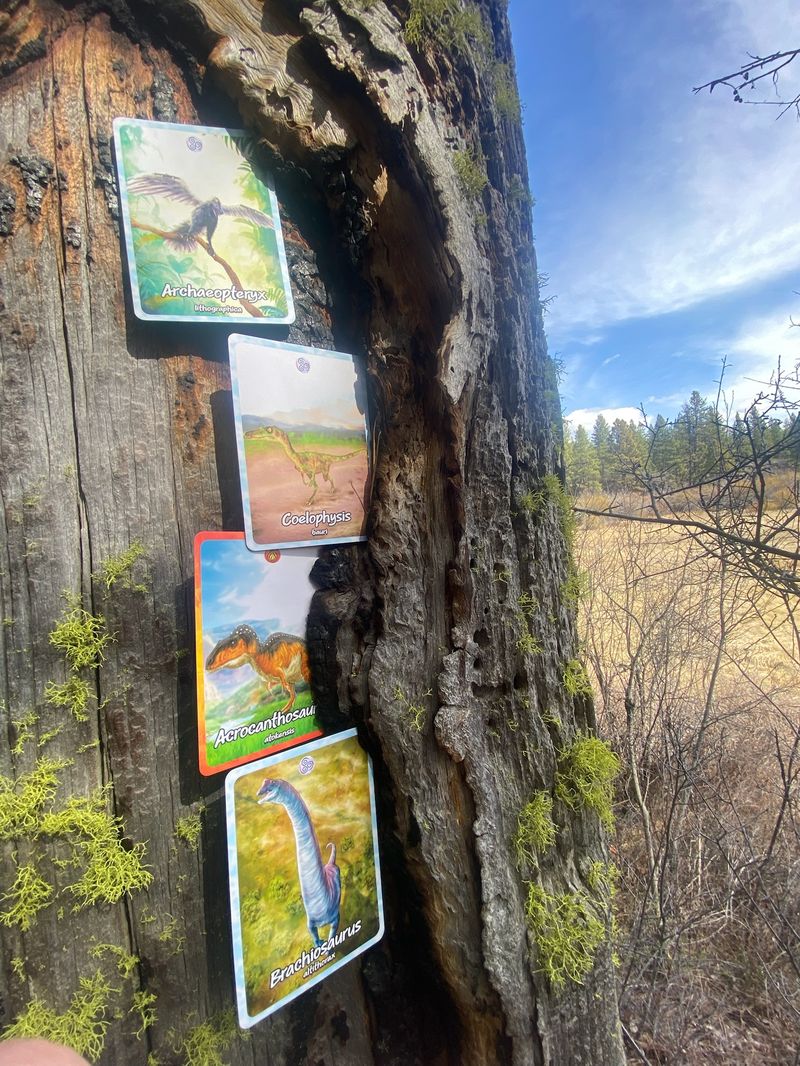 Cards tucked into tree bark
