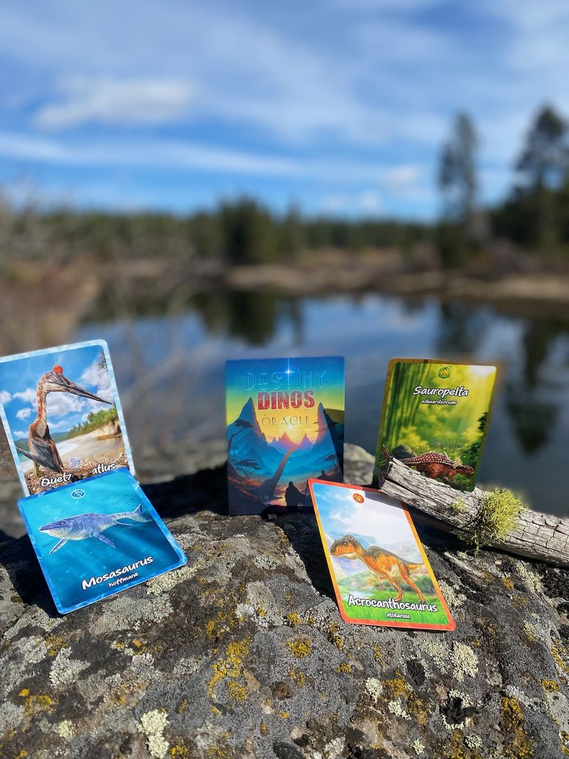 Cards on lichen rock by river